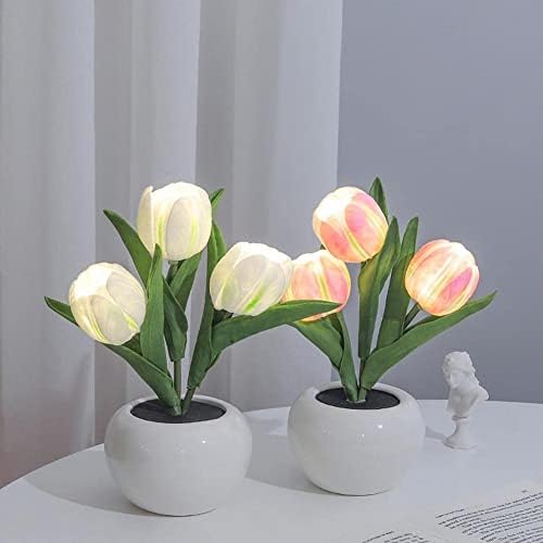 Lâmpadas de lâmpada de tulip