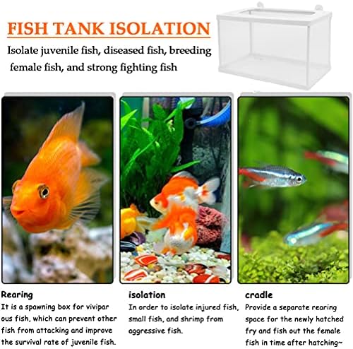 2 Pacote Caixa de criação de incubatórios de peixe - tamanho grande 10 x 6 x 6 Caixa de isolamento/berçário de tanques de peixe,