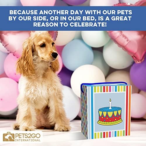 Pets2go Puppymini Birkday Birthday Presente para cães! Caixa de presente de lembrança inclui guloseimas de cães de escoteiros, 1 tigela pop -up, sacos de lavander