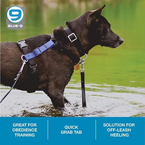 Blue-9 Treinamento de cães da coleira, guia de 9 polegadas chumbo para obediência, recall e treinamento de agilidade, fabricado nos EUA, preto