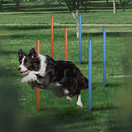 Equipamento de agilidade de cães de animais de estimação, pista de obstáculos de cães de 28 peças para treinamento e jogo interativo