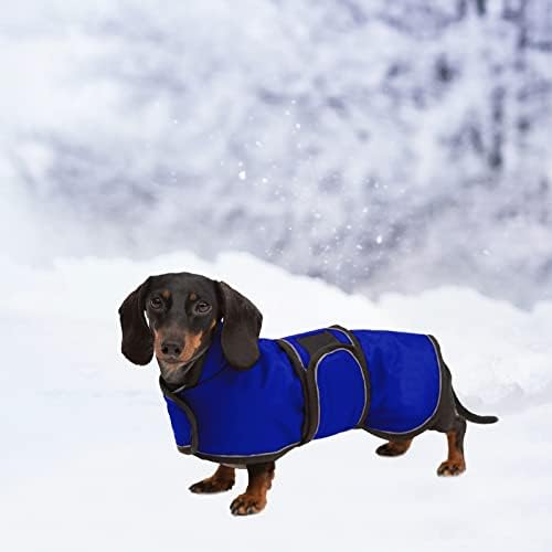 Brabtod Dachshund Casaco de inverno com forro quente de lã, jaqueta de cachorro impermeável em miniatura Dachshund