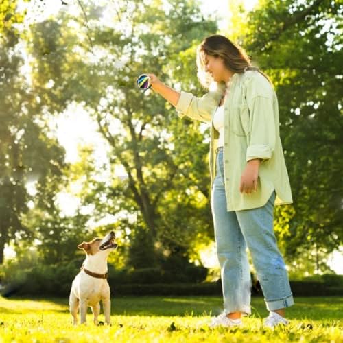 Bolas de tênis para cães engraçados brinquedos de cachorro que mastigam brinquedos para exercícios e treinamento | 6 Pacote colorido