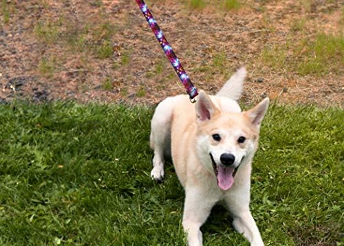 Moose Pet Wear Deluxe Dog Leash - colares de animais pesados ​​estampados, feitos nos EUA - 1 polegada x 6 pés, quadrados geográficos