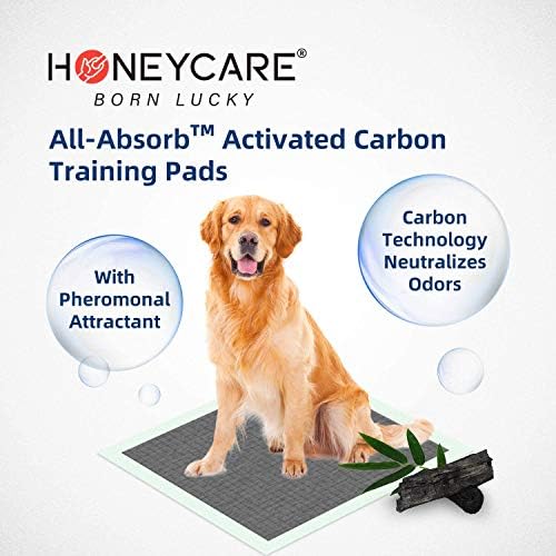 Honey Care All-Absorb Puppy Training Pads | Doggie Potty Pads absorve a eliminação do odor da urina, Ultra Charcoal