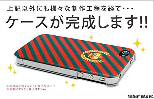 Segunda Skin Rotm Stripe Emerald Design por ROTM/para Galaxy S II WiMAX ISW11SC/AU ASCG2W-PCCL-202-Y395