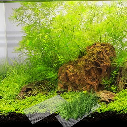 IPETBOOM 6PCS Aço inoxidável Malha de malha de malha aquática Malha de fios de malha de fios de aquário Plantas de tanques de peixes