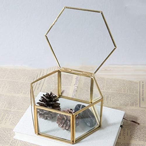 Caixas de armazenamento Jóias geométricas de jóias de jóias de vidro transparente Organizador de jóias Plantas suculentas