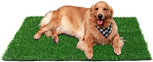 Grass artificiais - Mutifunction Dog Pee Grass dobrável grama falsa não deslizante grama artificial para cães com orifícios de