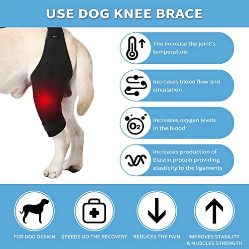 A cinta de joelho de cachorro noillow, cinta de perna de cachorro para entorse ACL, luxação da touca de joelho, artrite - mantém a articulação quente e estável, as feridas nas pernas se cuidam e impedem lamber, reduz a dor e a inflamação