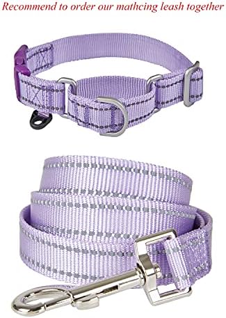 Colarinho de martingale reflexivo para cães com fivela rápida colares de liso de nylon de nylon de fivela rápida para facilitar a