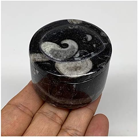WATANGEMS 125 gramas, 1,5 x 2 Black Fossil Orthoceras Bowery Box Shape redonda Polida feita artesanal de Marrocos, Mineral, espécimes, esconderijo, organizador de jóias, presentes, F2291