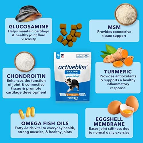 Vetnique ActiveBliss Hip & Joint Supplement e Glandex Anal Suporte a Manteiga de Amendoim Mades macias para pacote de cães