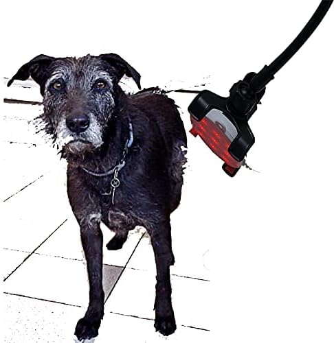 Terapia a laser para cães e animais de estimação - terapia a laser de luz vermelha para alívio da dor, dor muscular e articular da artrite de cães, reduz a inflamação, curam feridas.