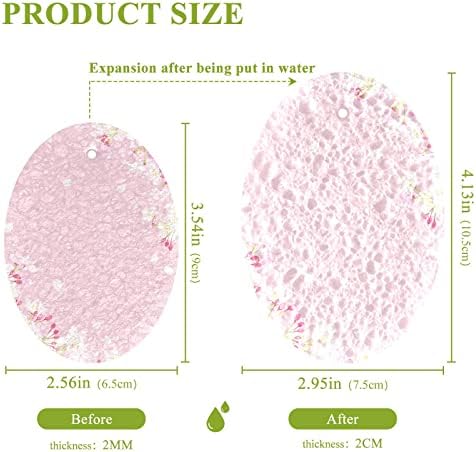 Flores de cerejeira rosa Alaza esponjas naturais Esponja de celulares de cozinha para pratos para lavar o banheiro e a limpeza
