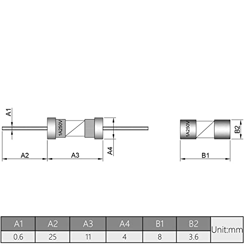 FELECT 20PCS FUSTO FASTO DE BLOW 250V 1A FUTO FASTO DE FUSE AXIAL DE CAIXO AXIAL FUSUES DE TUBO DE VIDRO 3,6X10MM