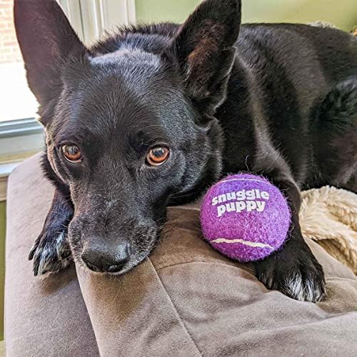 Bolas de tênis de cachorro aconchegante para cães - bolas interativas de tênis de 2,5 para cães médios a grandes - sem bolas de tênis squeak com bolsa de malha reutilizável