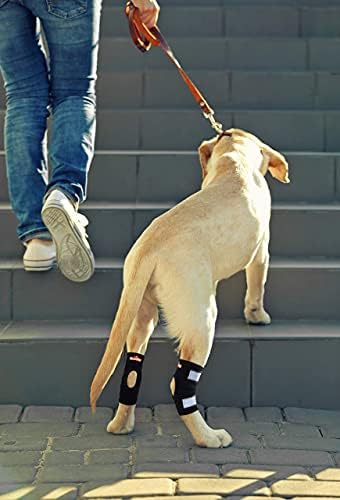 Neonaly Cat and Dog Brace Par Apoia do jarrete canino da perna traseira com tiras refletivas de segurança para feridas para as pernas traseiras curam e lesões e entorses de artrite