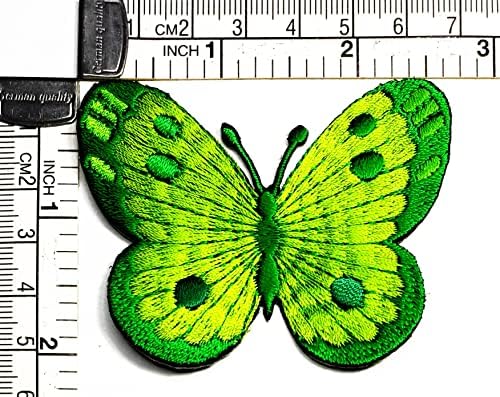 Desenho animado de borboleta kleenplus