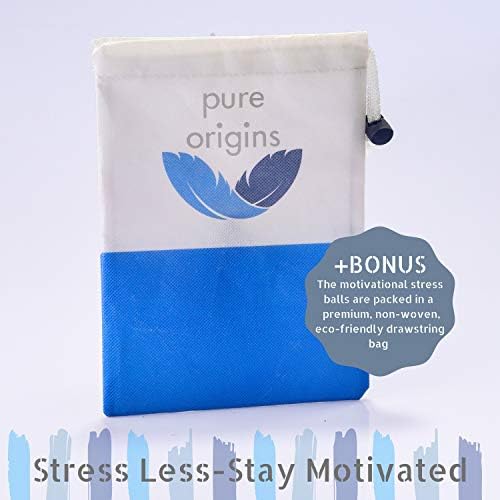Origens puras | Bolas de estresse motivacional | Presente 6-Pack | Acessório de inquietação para alívio do estresse,