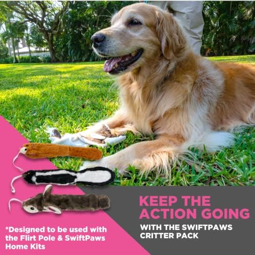 SwiftPaws Critter Pack - para cães - bandeiras de animais macias - de recheio + ruído livre - construção durável - fornece exercícios
