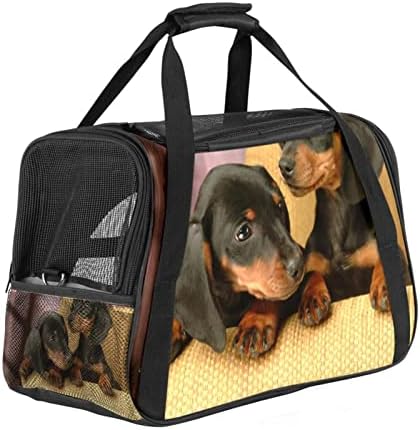 Portador de animais de estimação, conforto macio portátil Saco de animais de estimação dobrável, padrão de animal de cachorro preto