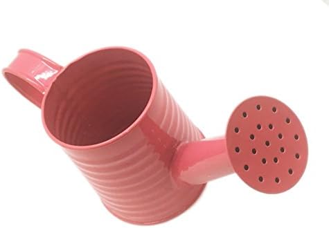 Witnystore mini rega - lata de picada de jardim vintage - Pulverizador de flor rústico de aço galvanizado durável - 4 por 2 3/4 polegadas e 550 ml de capacidade - rosa quente