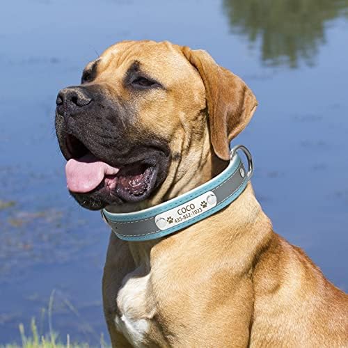 Senristar Cola de cachorro de couro refletivo personalizada com forro quente, colar de cachorro personalizado com placa de nome gravada