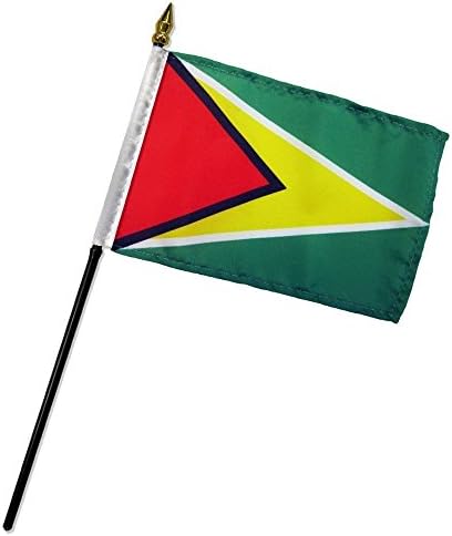 Guiana 4 x6 bandeira de bastão