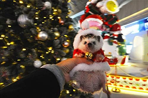 Roupas de hedgehog traje de natal Papai Noel terno de vestuário de vestuário de vestuário de pequenos animais com hedgehog hedgehog