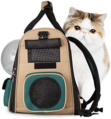 N/A Cats School Saco, Bolsa Espacial de Bolsa Espacial Grande Pet Out Out Bag portátil Bolsa de ombro para cães Bolsa de gatos