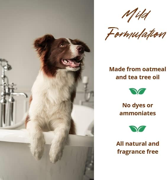 Allersearch Pet+ Oatmeal Anti-Allergen Dog Shampoo 16 oz