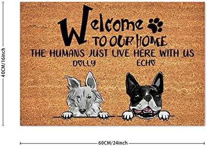 Bem -vindo à nossa casa, os humanos apenas moram aqui conosco com a porta de bigão e fácil limpo, nome do animal de estimação