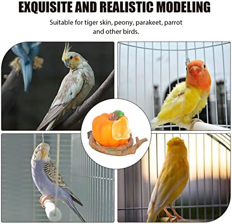 Acessórios enfeitados Parrot alimentador de pássaro copos de alimentação: pendurado em papagaio tigelas de água alimentos prato prato