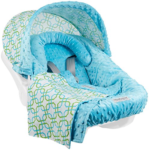 Carseat Canopy Whole Caboodle - Hayden