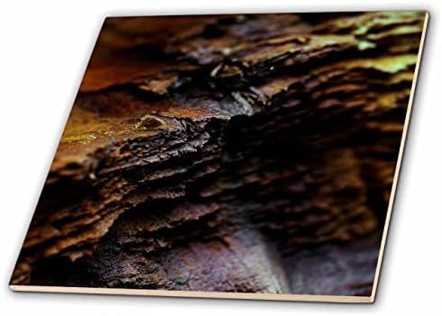 3DROSE Uma fotografia macro das camadas de uma árvore de pinheiro recém -cortada. - Azulejos