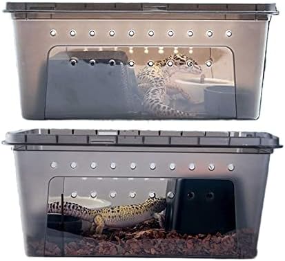 Caixa de alimentação de tanques de tartaruga sérica Caixa de alimentação de répteis Caixa de alimentação transparente Caixa de