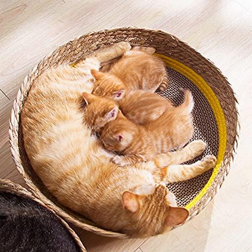 Akdxm Terceneiro Cama de gato, cama natural para animais de estimação, cama de animal de estimação, amarelo