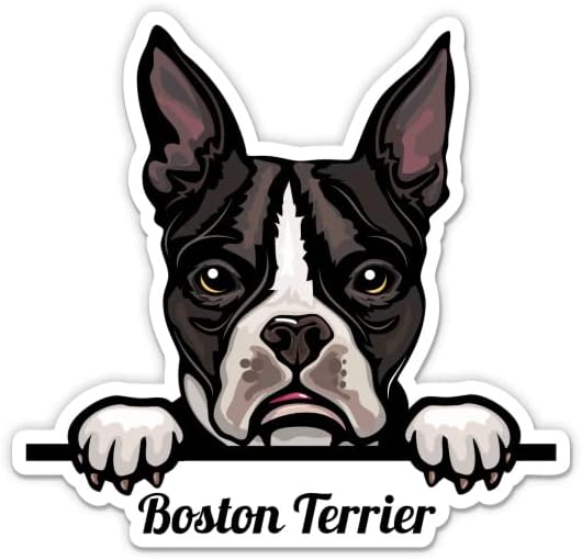 Adesivo de cachorro de Boston Terrier - adesivo de laptop de 3 - vinil impermeável para carro, telefone, garrafa de