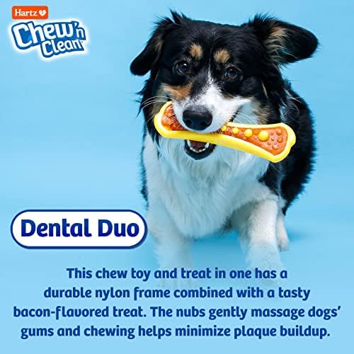 Hartz Chew 'n Clean Dual Duo Bacon Dental Dental Dog Chew Toy and Treat - Grandes, as cores podem variar