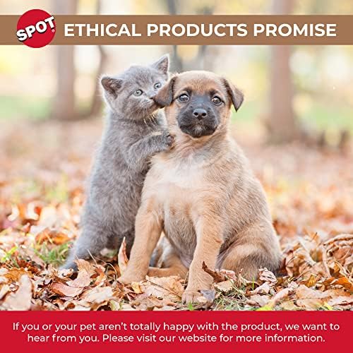 Spot por produtos éticos - Cerâmica pesada Tigela de cachorro de alto brilho Gato Comida de cachorro durável e prato para animais