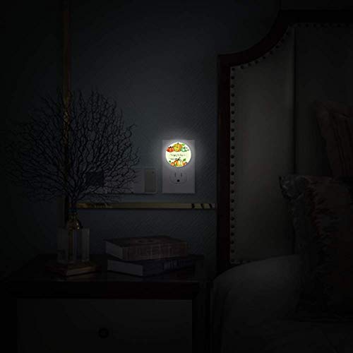 Pequena luz noturna com dia de Ação de Graças Pumpkin Night Light Plug in Wall com pacote de sensores do Dusk-to-Dawn de 2