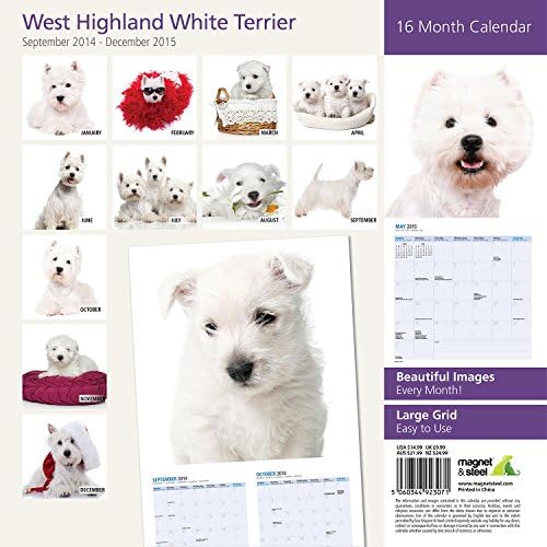 Magnet & Steel West Highland White Terrier 2015 Calendário de parede