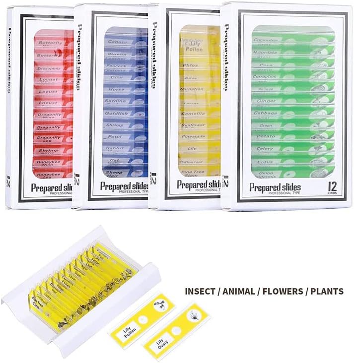 4 coloridos 48pcs slides diferentes amostras biológicas microscópio de plástico para crianças Slides preparados