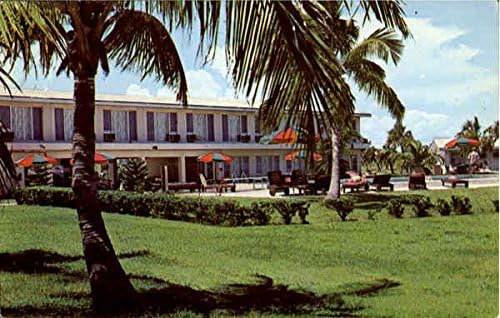 The Lodge, Everglades National Park Flamingo, Florida FL Original Vintage Post -Card