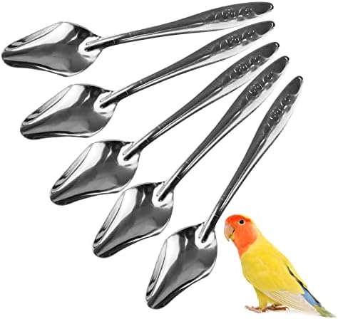 Toysructina 5 Pacote Pádico Polarem colheres para comer, 4,5 Metal Parrot alimentador de alimentador de aço inoxidável alimentos