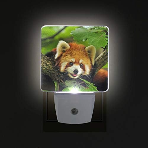 2 plug-in plug-in LED Night Lights com Panda Nightlights With Dusk to Dawn Sensor Luz branca perfeita para cozinha e corredor do banheiro Conjunto 2