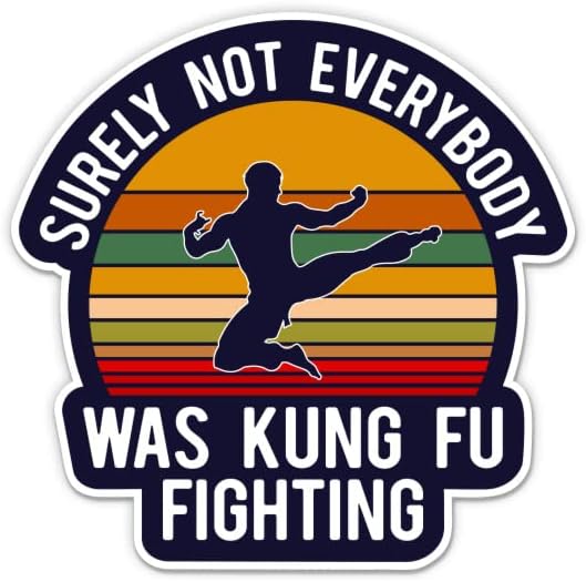 Certamente nem todo mundo era Kung Fu Fighting adesivo - adesivo de laptop de 3 - Vinil à prova d'água para carro, telefone, garrafa de água - Funny Kung Fu Retro vintage Decal