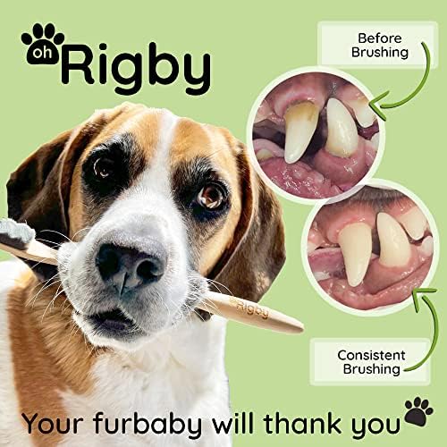 OH Rigby Dog dentes de dentes- 10.000 cerdas ultra-macias para dentes de estimação sensíveis e gengivas- escova de