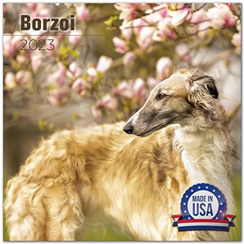 2022 2023 Calendário de Borzoi - Calendário mensal de parede de raça de cães - 12 x 24 Open - Papel sem vergonha - Presente - Calendário